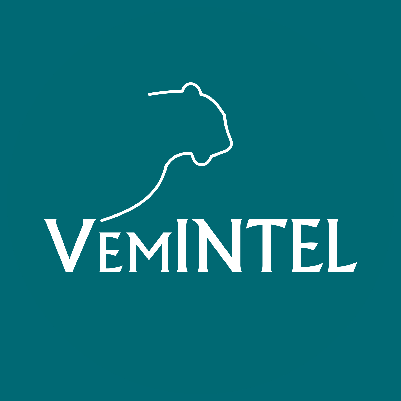 vemintel - fc barcelona